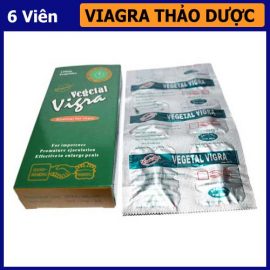 Viagra Thảo Dược Vigra Vegetal 120mg - shop bao cao su vũng tàu Cậu Nhỏ